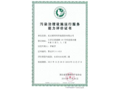 污水治理设施运行服务能力评价证书