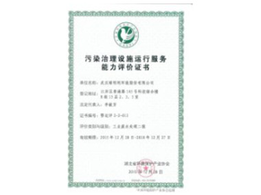 污水治理设施运行服务能力评价证书